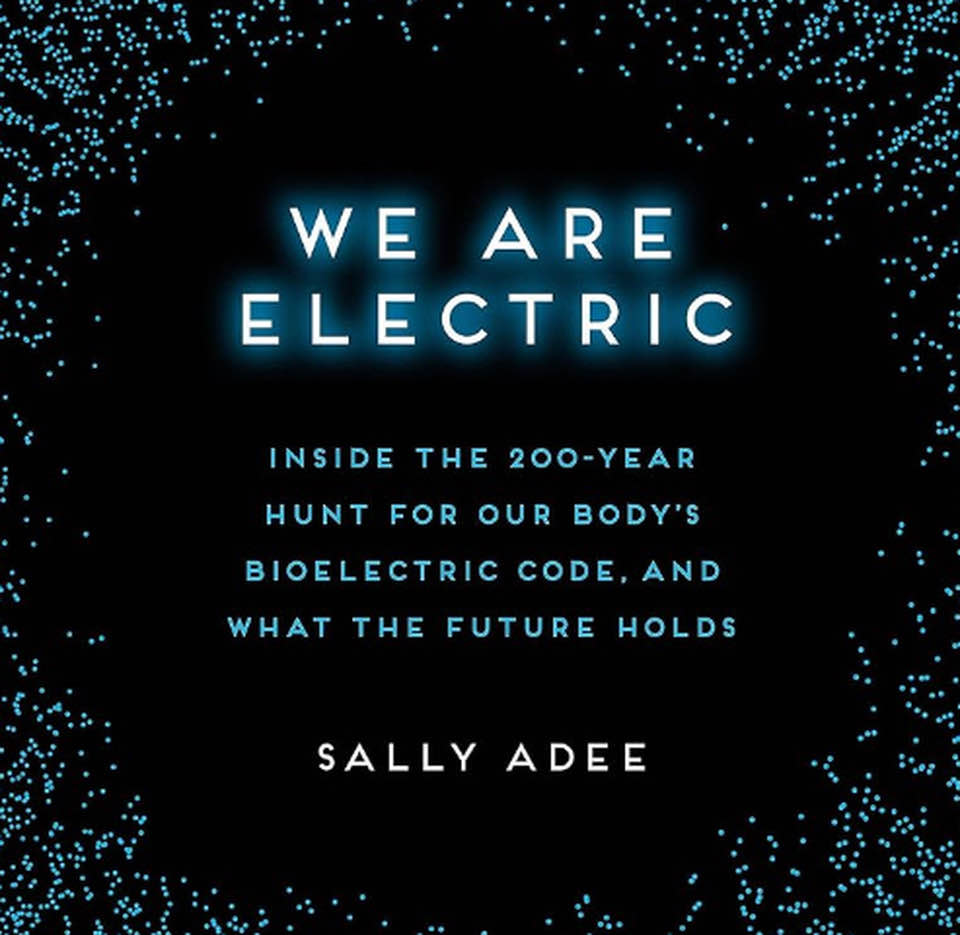 Cover image of Sally Adee's 'We Are Electric'