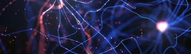 image of neurons