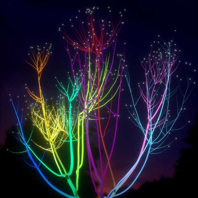 photo of uv lights