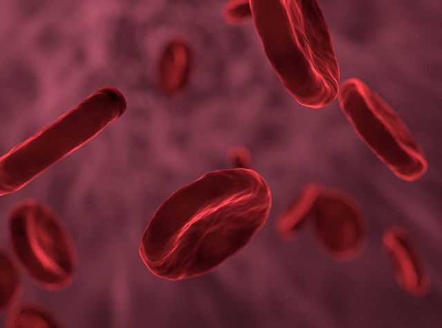 image of blood cells
