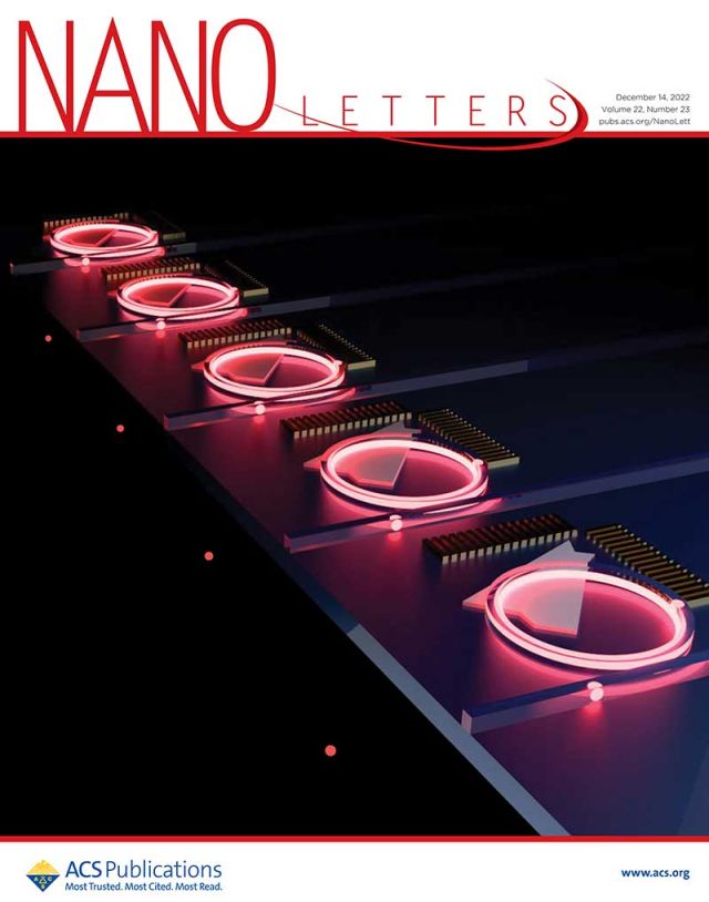 illustration on cover of Nano Letters