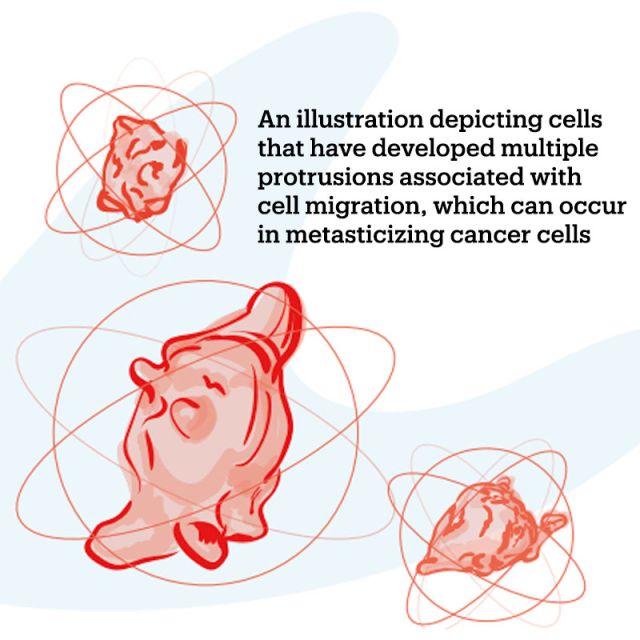 illustration of cells