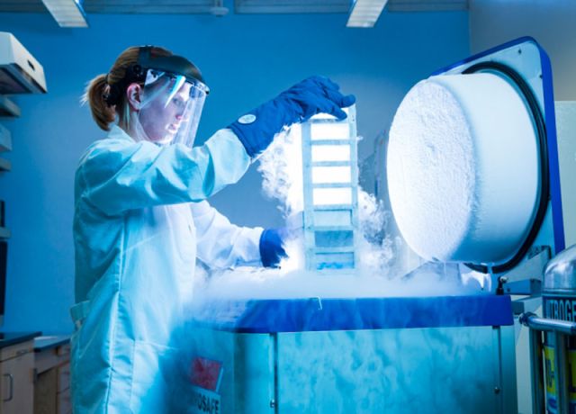 photo of grad student in the lab