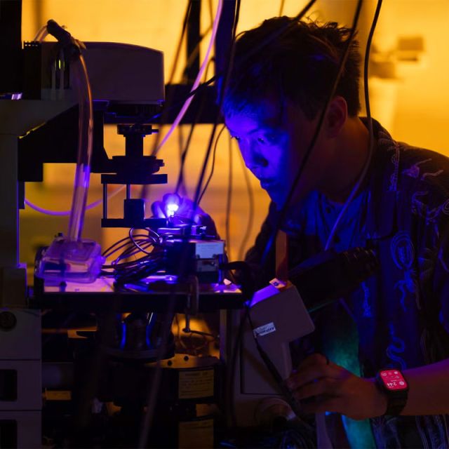 photo of roark in the lab