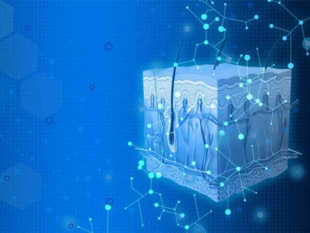 Visell "Skin That Computes"