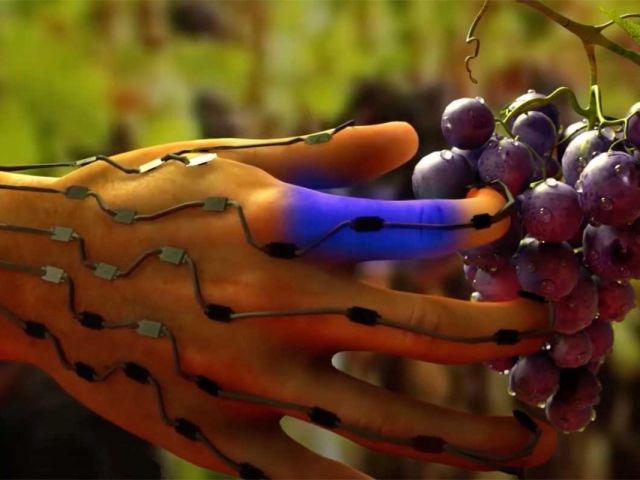 Communications & Signal Processing