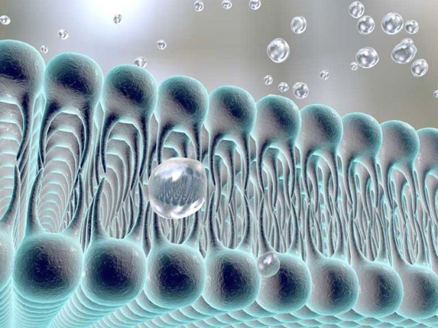 Miolane – NIH R01 Grant