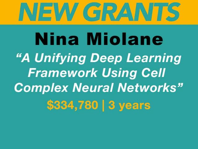 Miolane – NSF Grant