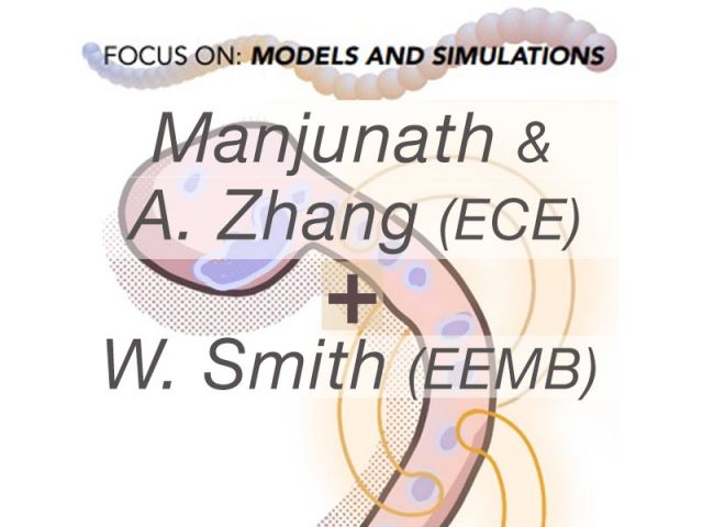 Interdisciplinary Team