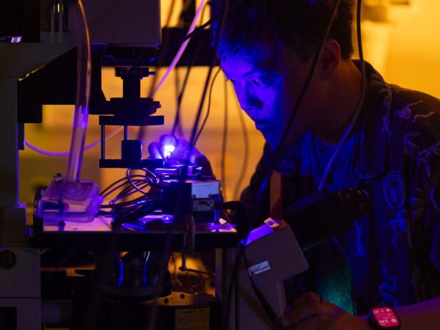 Chao, DenBaars & Schuller: Hair-width LEDs