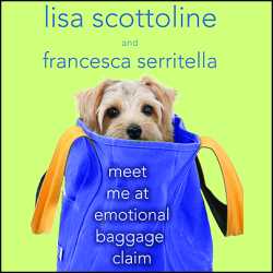 Cover image for the audiobook 'Meet Me at the Emotional Baggage Claim'