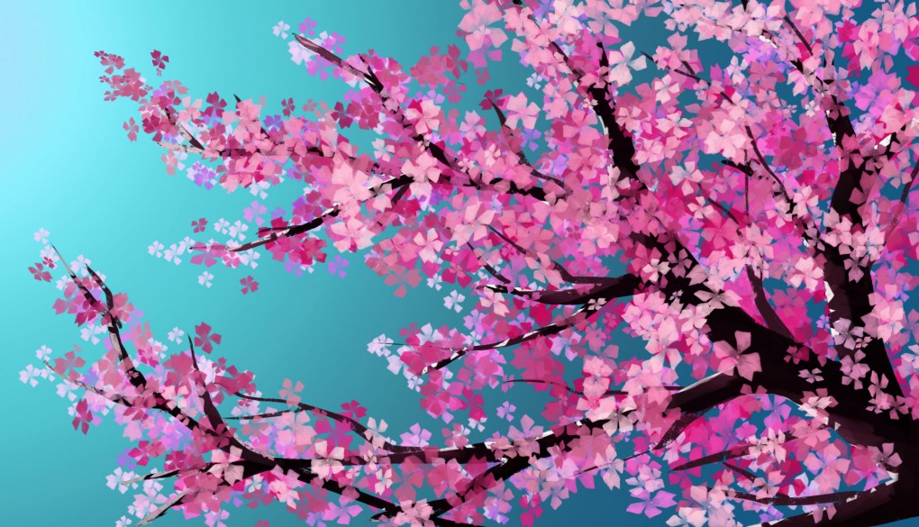 Image of pink blossoms representing the arrival of spring