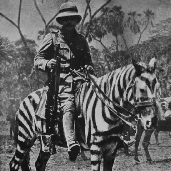 British soldier on a horse in zebra camouflage, German East Africa during World War I