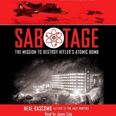 Cover image for Neal Branscomb's 'Sabotage'