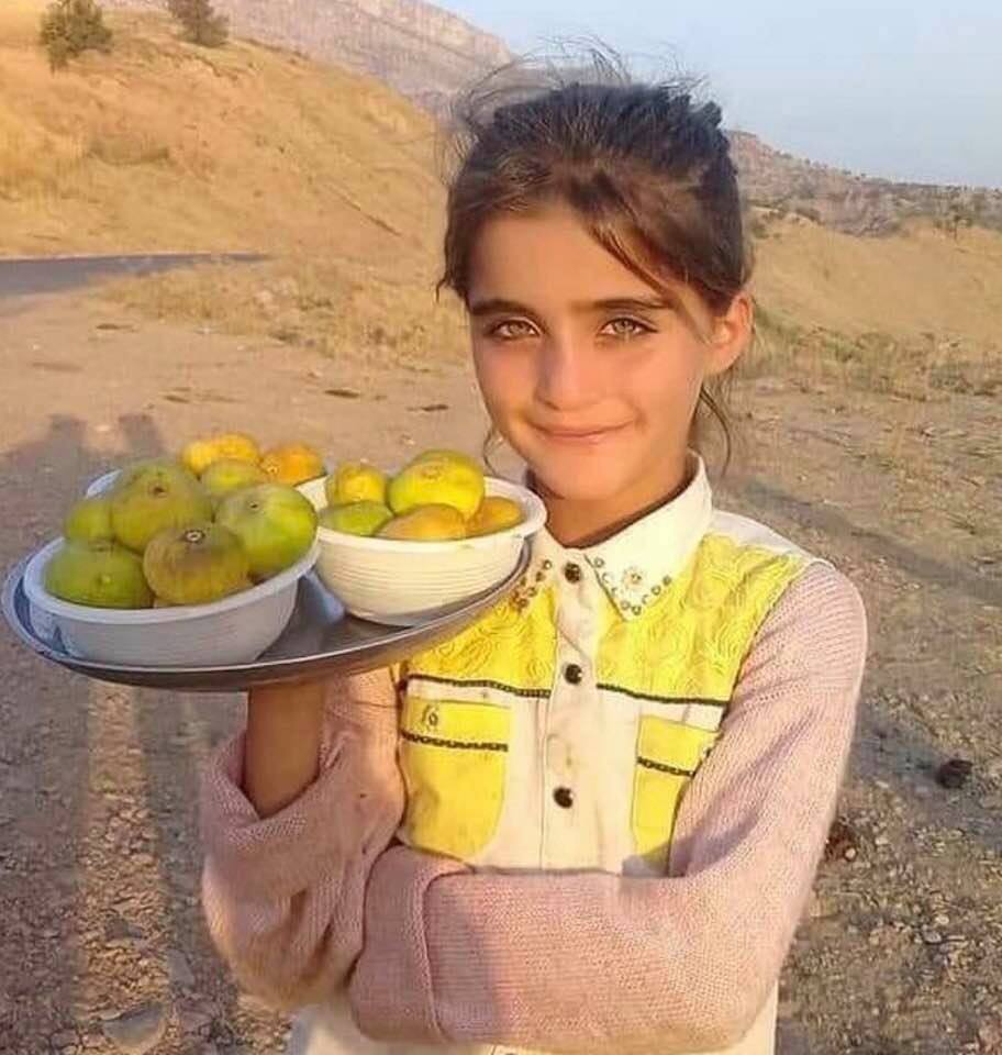 Little Iranian girl at fig harvest time