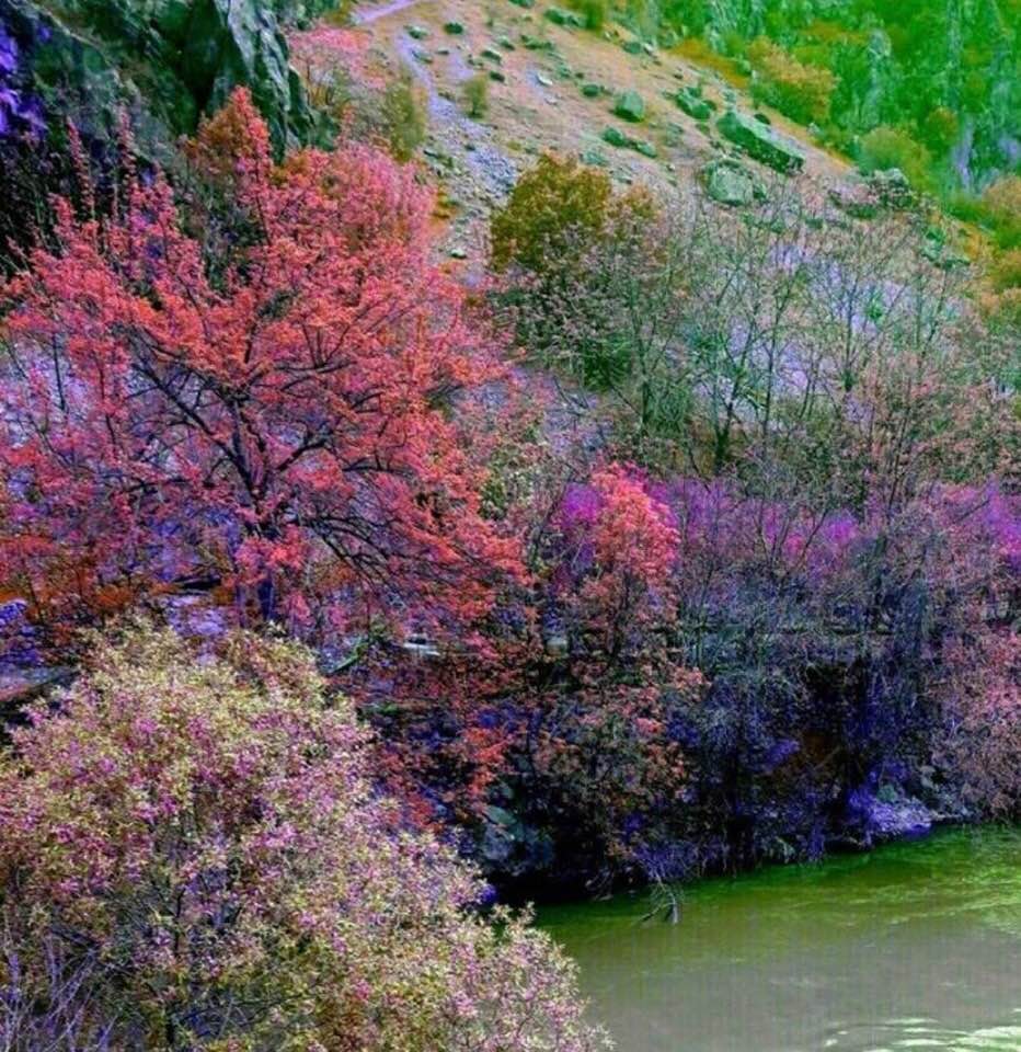 Spring colors near Kermanshah, Kurdistan Province, Iran