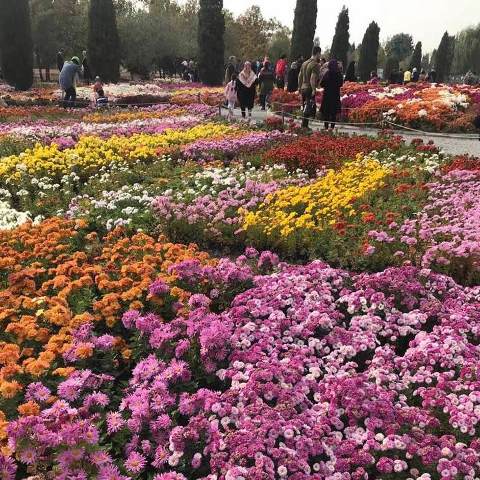 Botanic gardens in Karaj, near Tehran, Iran, photo 3