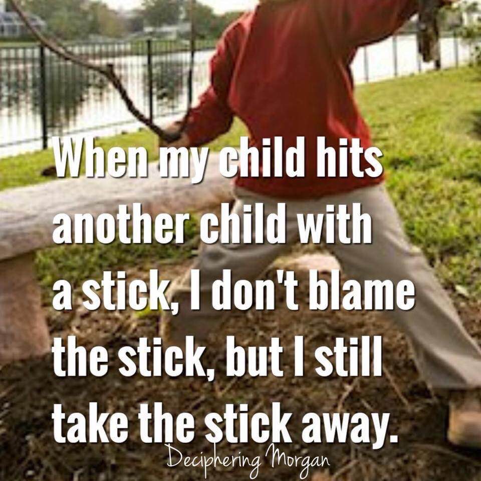 Meme: When my child hits another child with a stick, I don't blame the stick, but I still take the stick away