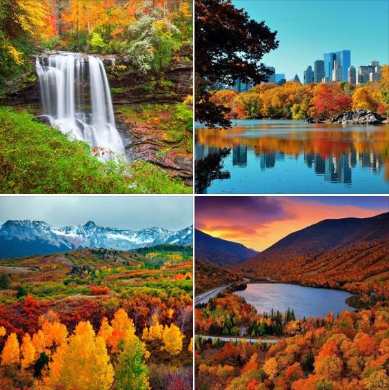 Amazing fall colors (part 2): Diverse samples, selected from Google images