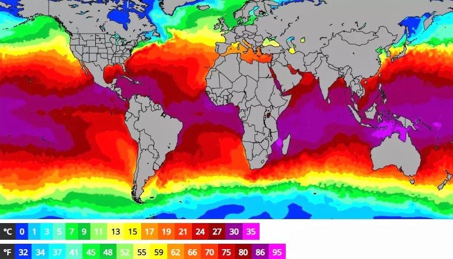 Global ocean temperatures on Sunday, January 5, 2020