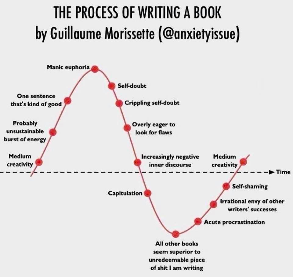 Humor: Graphic depicting the process of writing a book