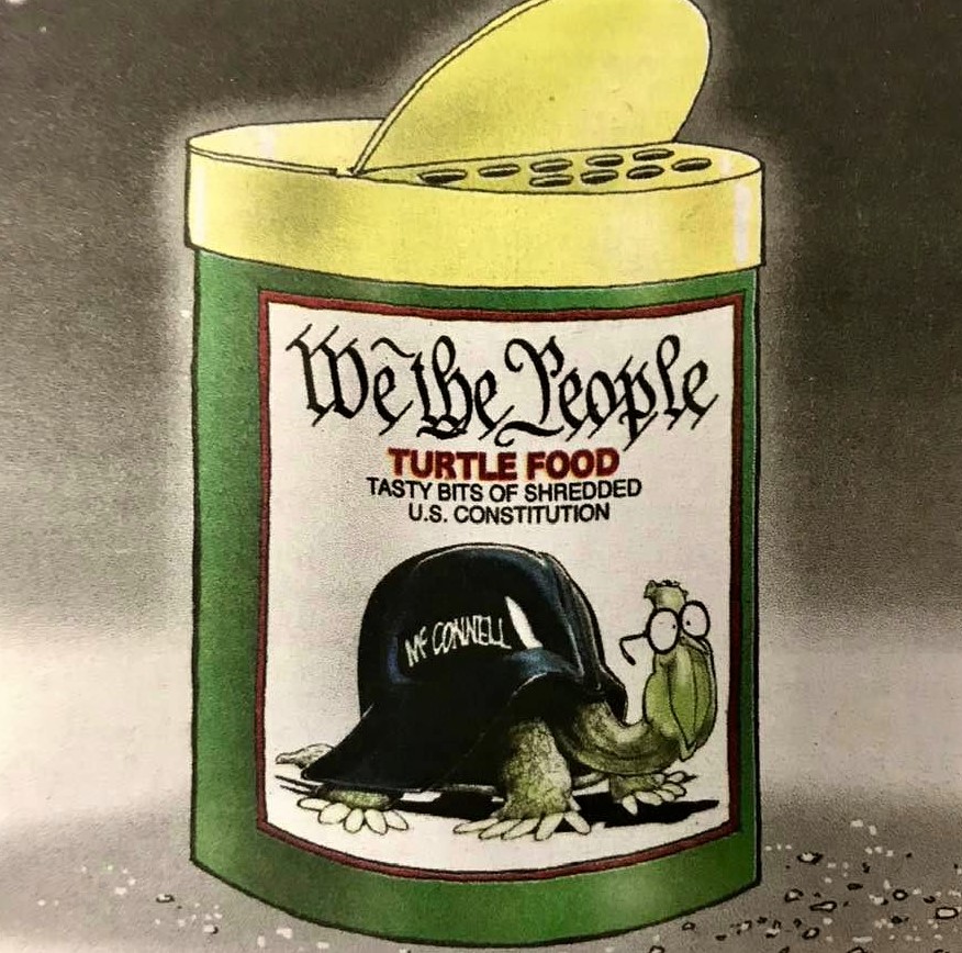 Cartoon: 'We the People' turtle food -- Tasty bits of shredded US Constitution