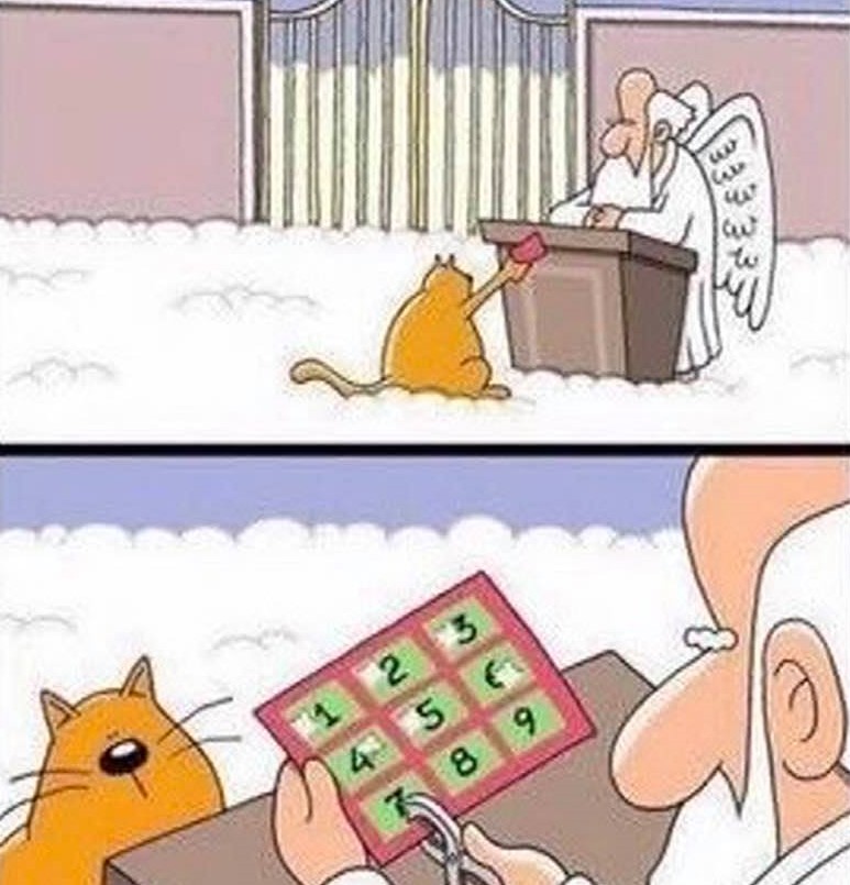 Cartoon: A cat at the pearly gates!