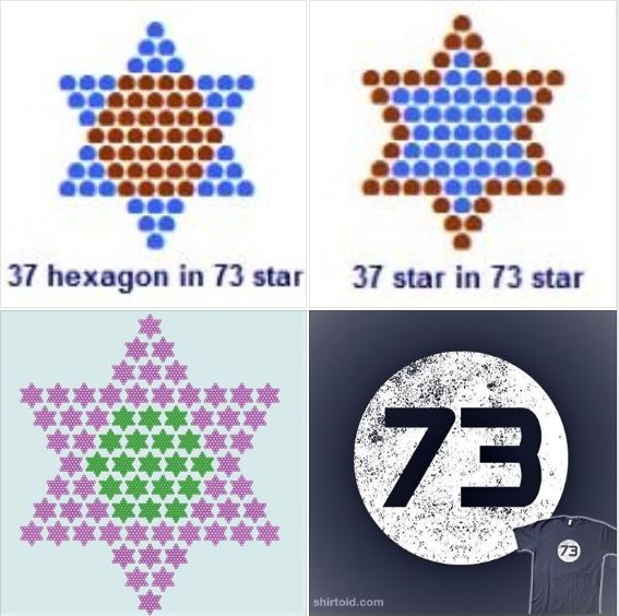 Some properties of the number 73, a star number
