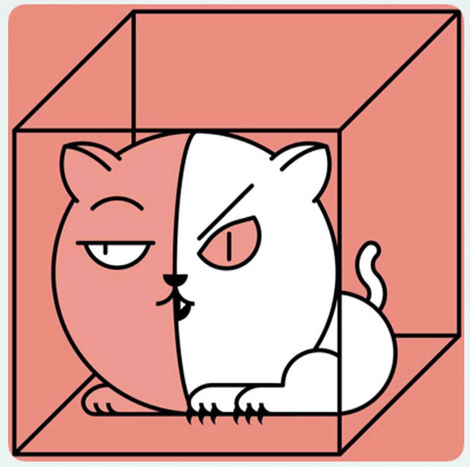 Cartoon depicting Schrodinger's cat