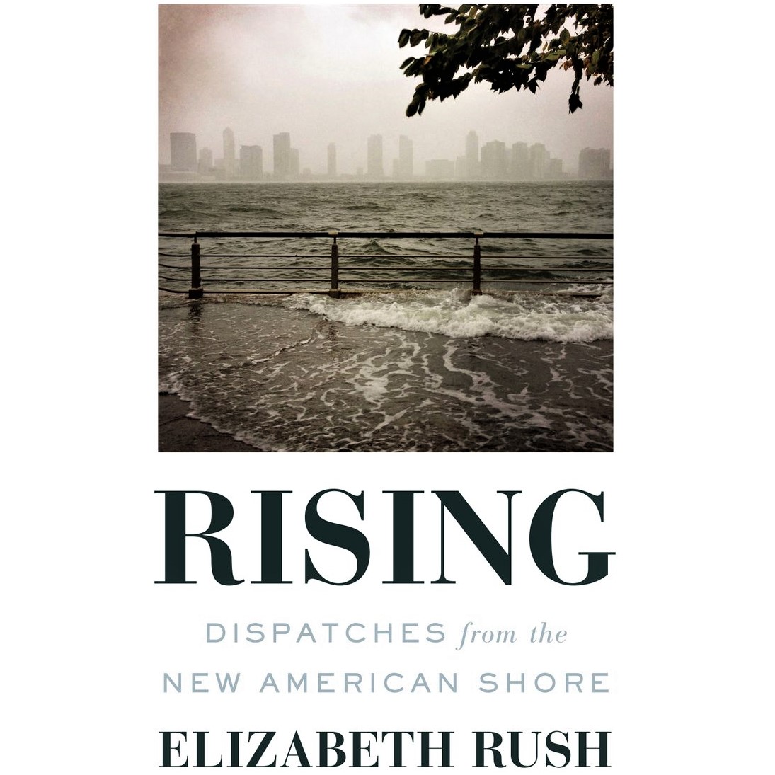 Cover image of Elizabeth Rush's 'Rising: Dispatches from the New American Shore'