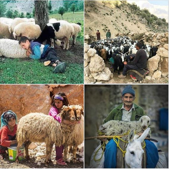 Rural Iran: Nature and lifestyles, batch 4