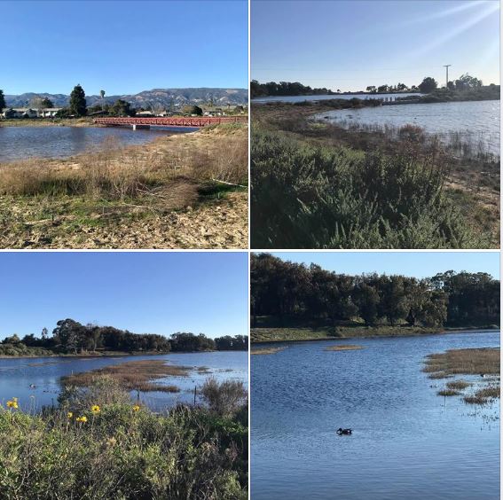 Photos taken on March 2, 2020, around UCSB North Campus Open Space and Devereux Slough