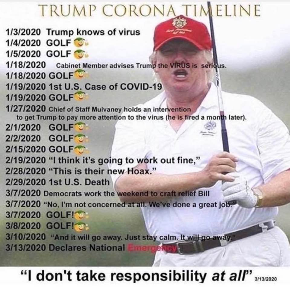 Meme: If anything distracted Trump from the coronavirus pandemic it was ignorance and playing golf, not impeachment!