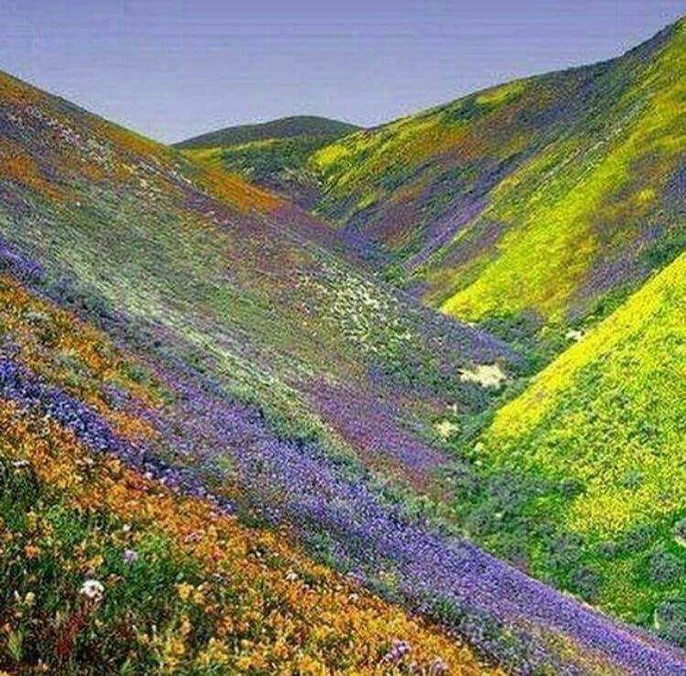 Beautiful spring colors of Aligudarz, a county in the western Iranian province of Lorestan