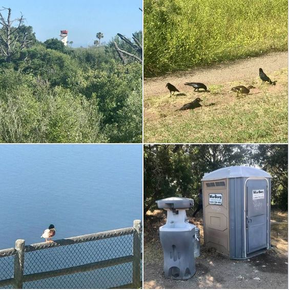 My walk at Goleta's Lake Los Carneros Park on a gorgeous afternoon: Batch 3 of photos