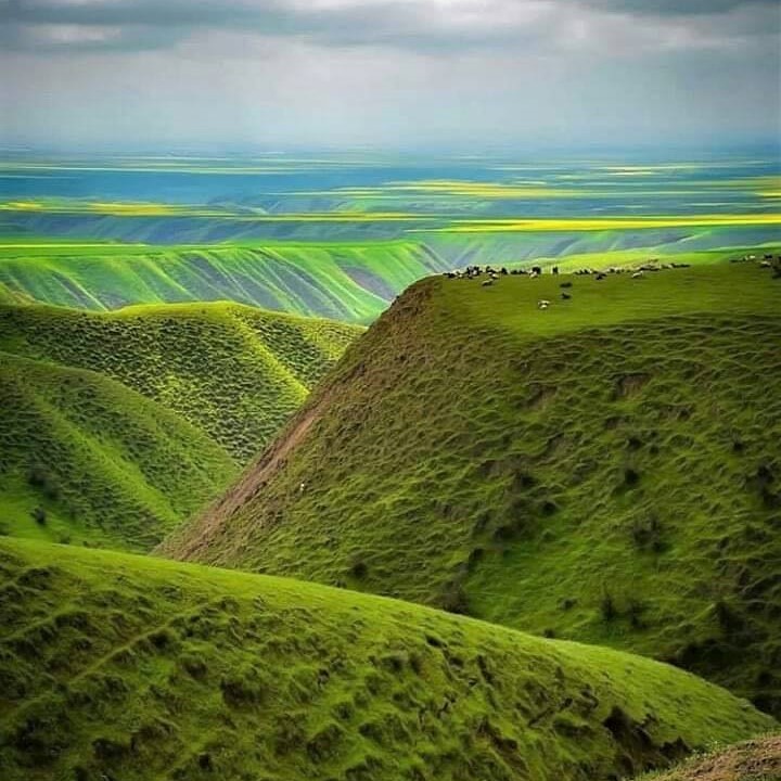 The Hezar-Tappeh ('Thousand Hills') region in Iran's Golestan Province