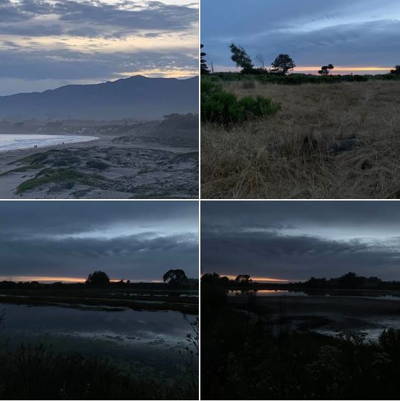 Photos from my evening walk on Sunday evening, 5/31, around Goleta's Coal Oil Point and Devereux Slough: Batch 2