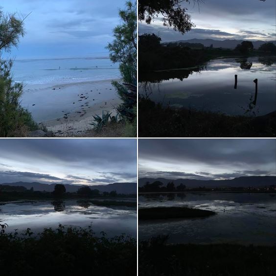 Photos from my evening walk on Sunday evening, 5/31, around Goleta's Coal Oil Point and Devereux Slough: Batch 3