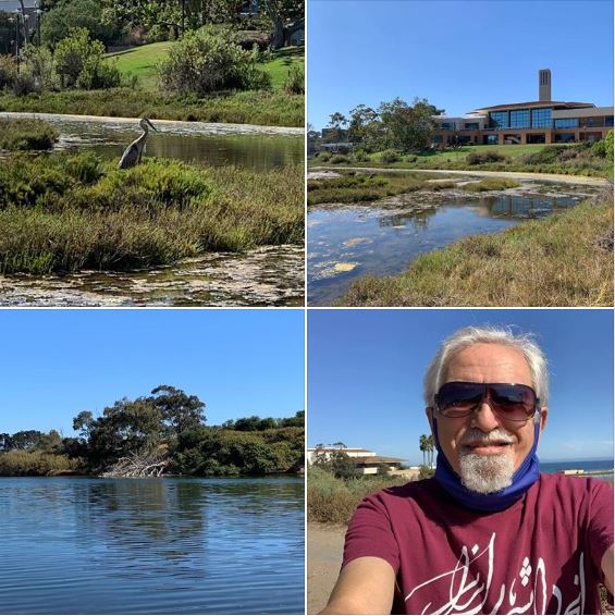 Walking around the UCSB lagoon on a gorgeous late-spring afternoon: Batch 2 of photos