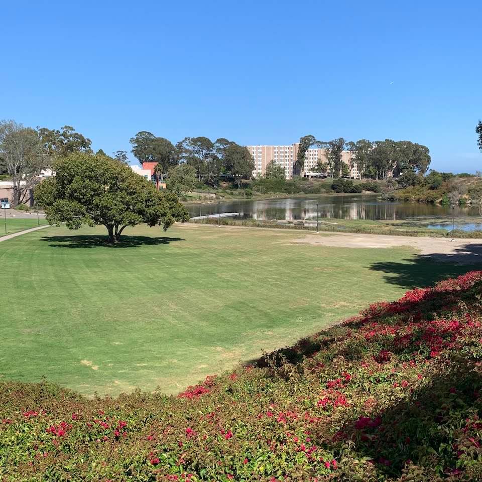 Graduation site in 2020: A view of UCSB's Faculty Club Green