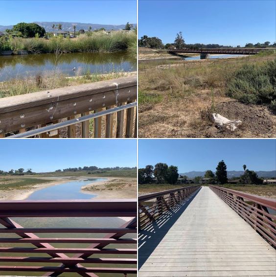 Photos from this afternoon's stroll on UCSB's North Campus Open Space: Batch 2, on the bridge and to the south