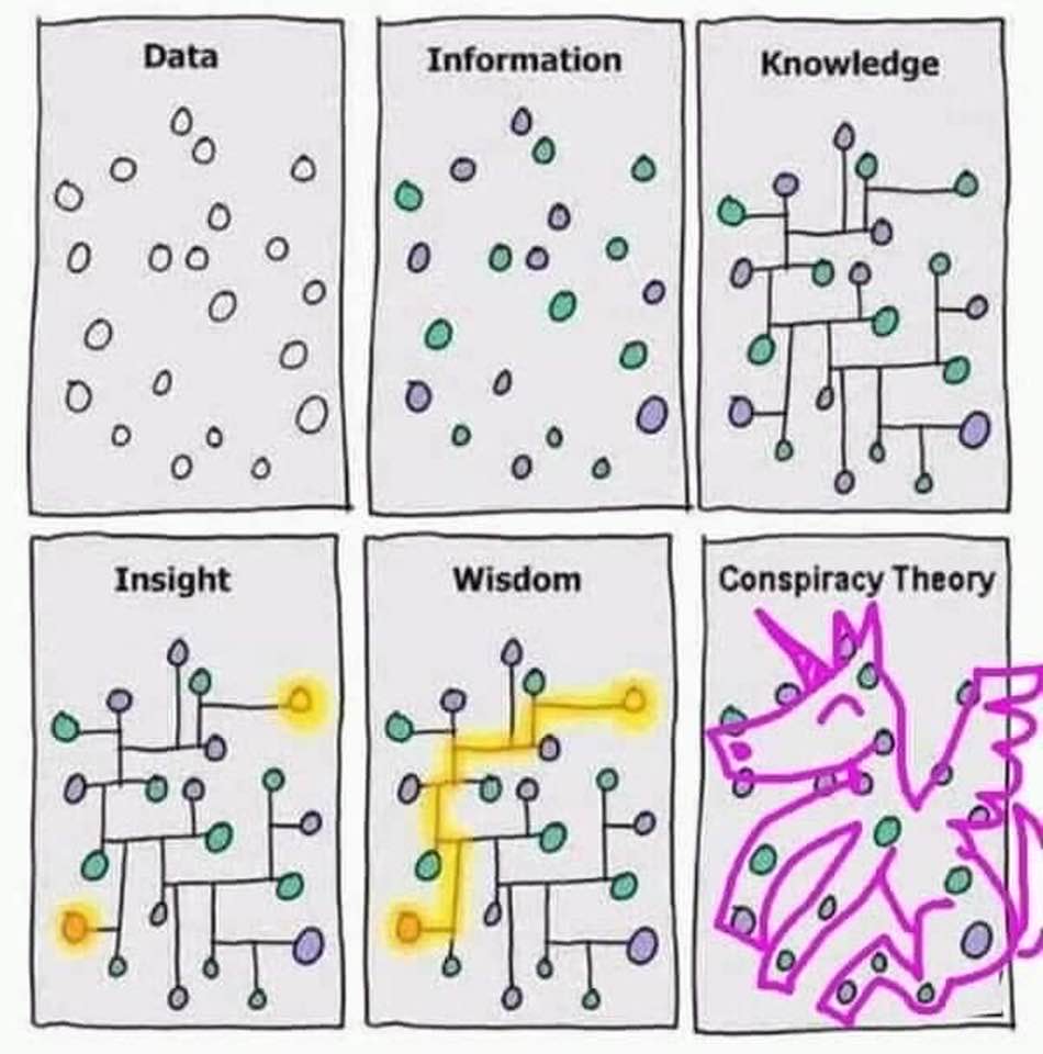 Cartoon: Understanding data, information, knowledge, insight, wisdom, and conspiracy theory