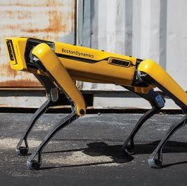 For the price of a luxury car (around $75K), you can have a very smart, very capable, very yellow robot dog