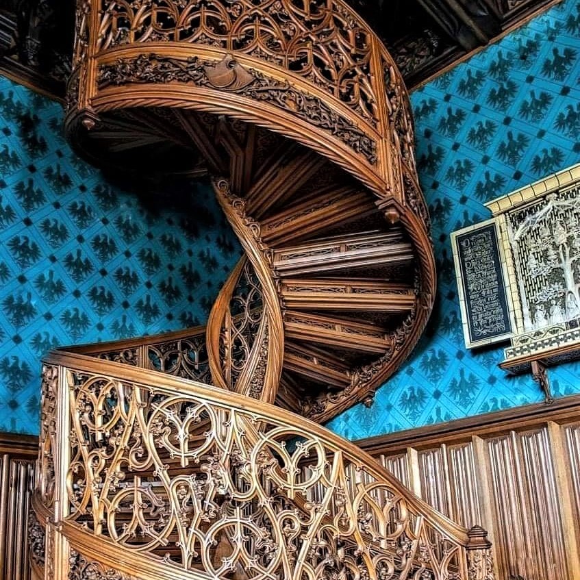 This incredible spiral staircase was carved from a single tree in 1851 and is located in the Lednice Castle in the Czech Republic