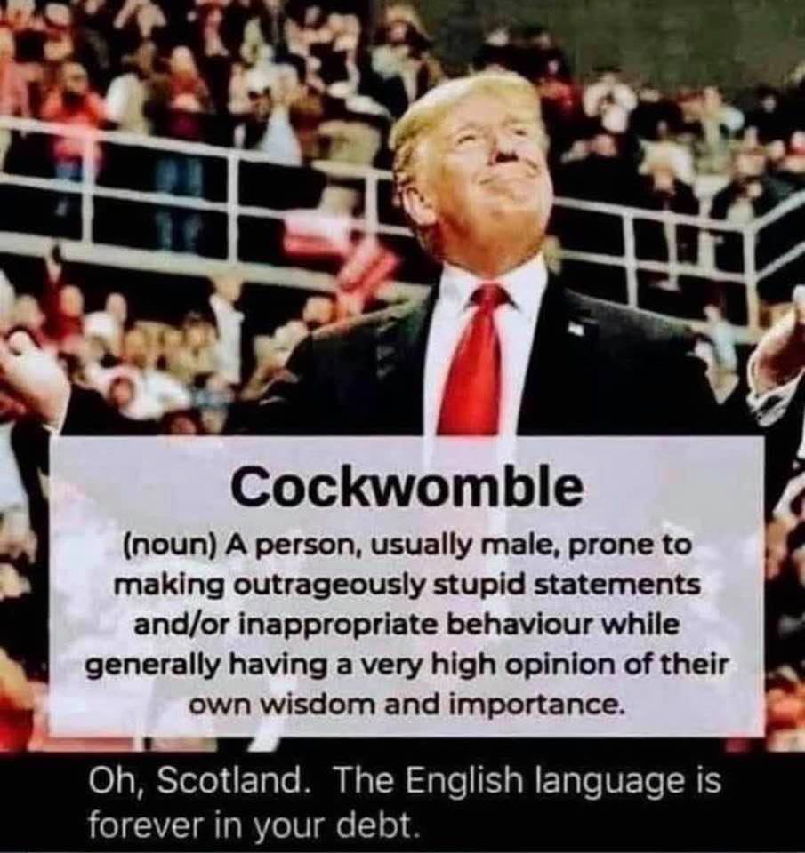 Let us thank Scotland for giving us a word we have sought for more than four years: Cockwomble