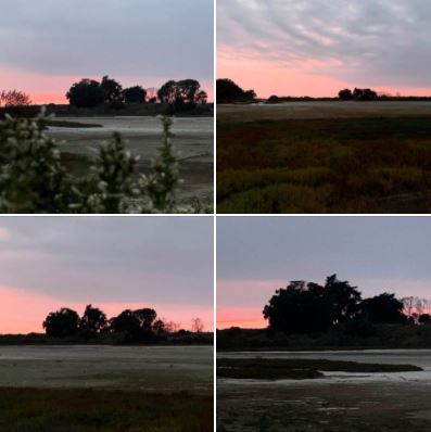 Photos of Friday evening's sunset over Goleta's Devereux Slough