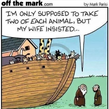Cartoon: Noah's cat-loving wife forces him to make an exception to the 'two of each species' rule