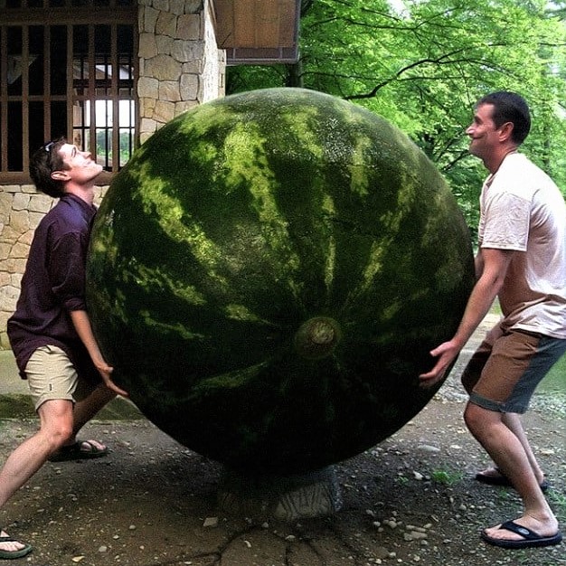 Two men shown trying to lift a huge watermelon