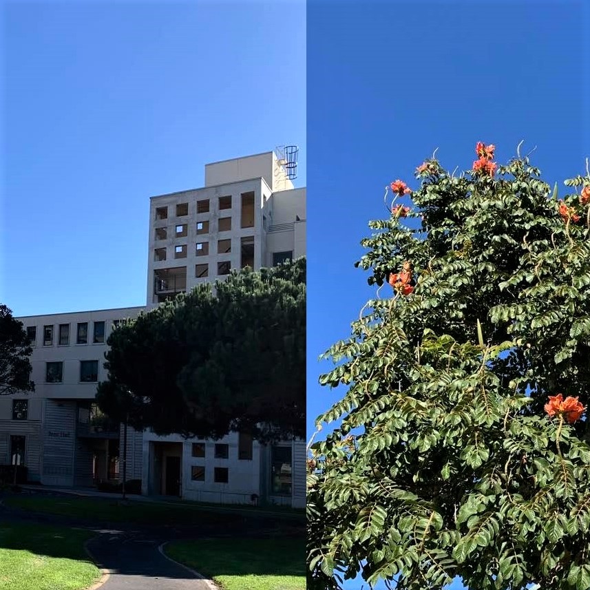 Monday 11/09 at UCSB: The beautiful blue skies inspired me to snap these photos