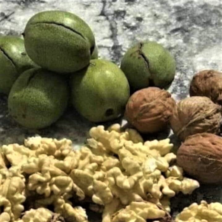 Walnuts, with and without the two shell layers (wooden inside and soft outside)